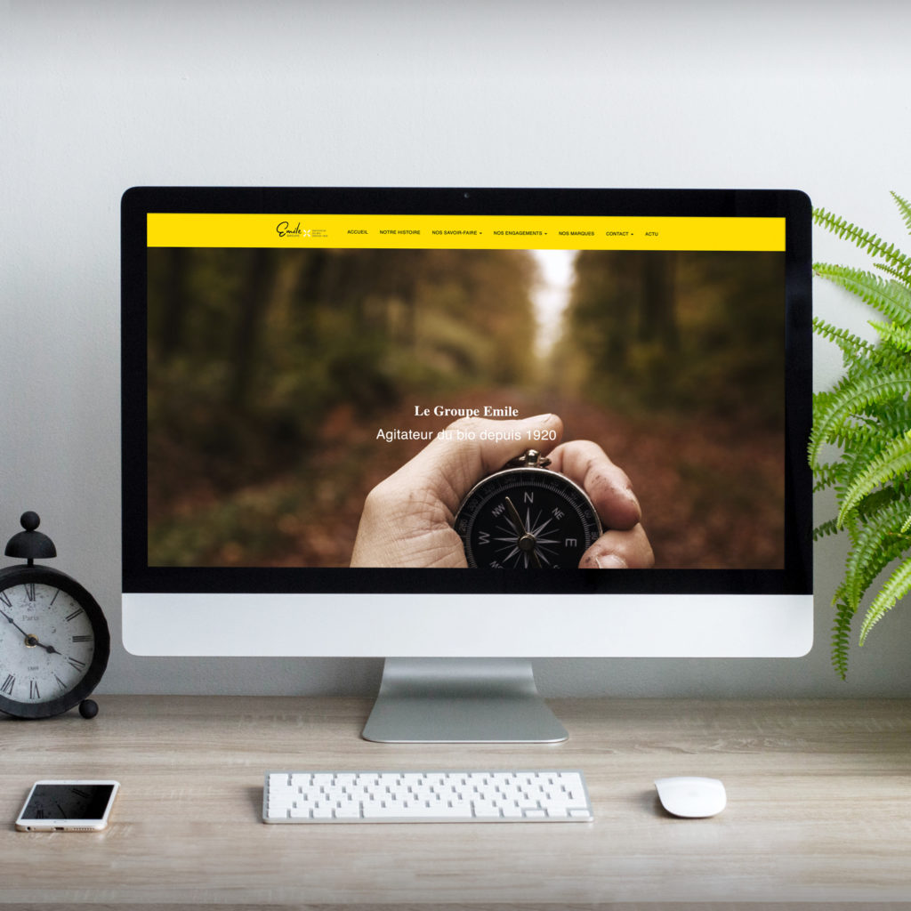 Site Groupe Emile